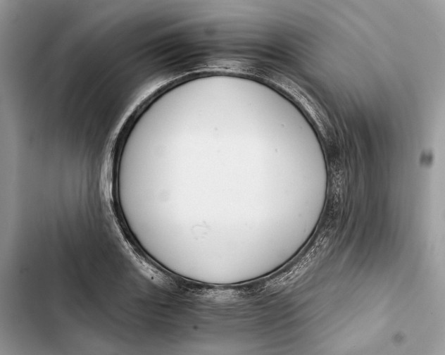 X0000103481131200810031537