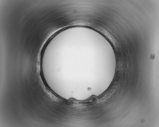 X0000103481132200810031537