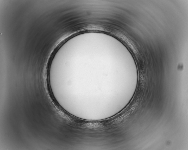 X0000103481133200810031537