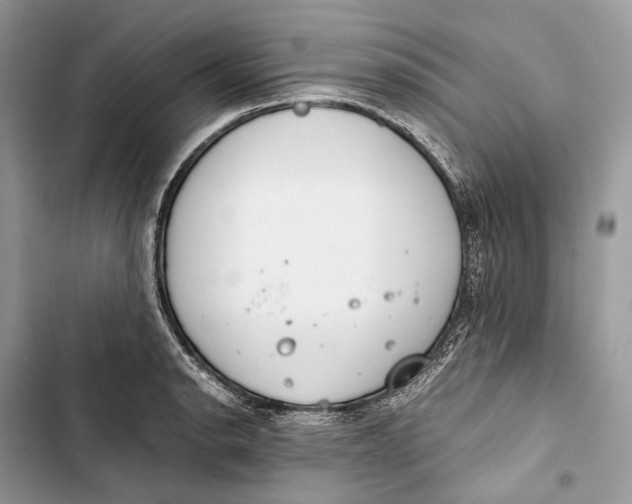 X0000103481134200810031537