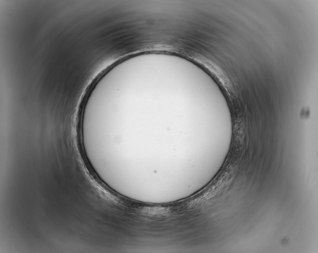 X0000103481135200810031537