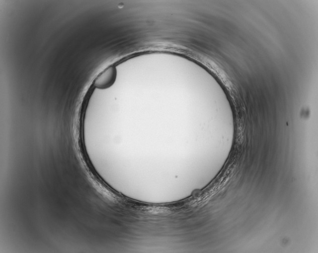 X0000103481136200810031537