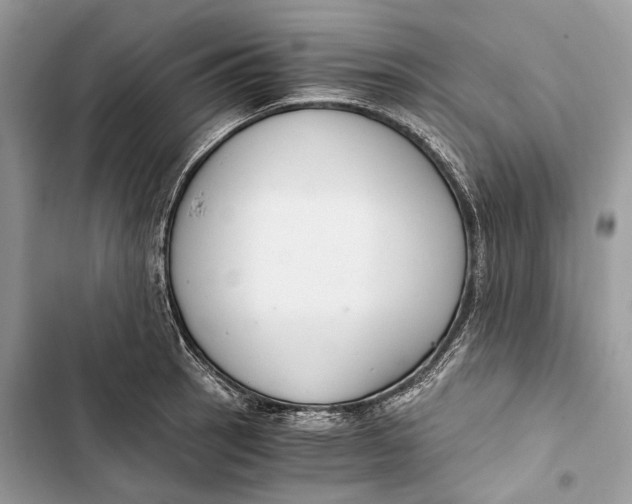 X0000103481137200810031537