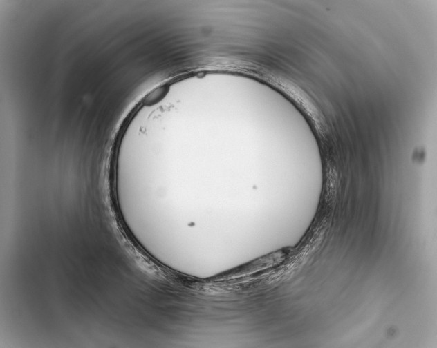 X0000103481138200810031537