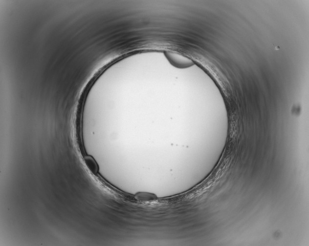 X0000103481139200810031537