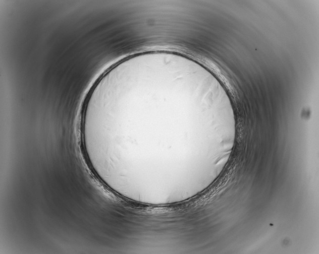 X0000103481140200810031537