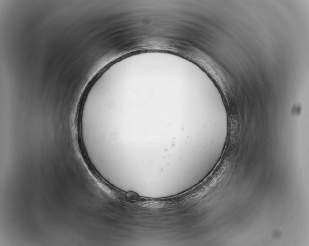 X0000103481141200810031537