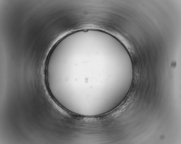 X0000103481142200810031537