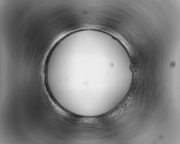 X0000103481143200810031537