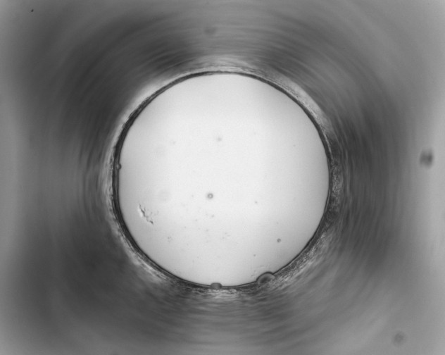 X0000103481144200810031537