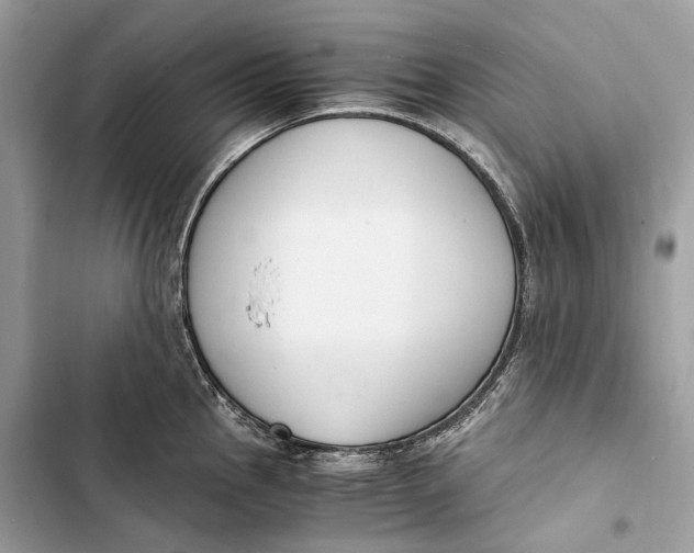 X0000103481145200810031537