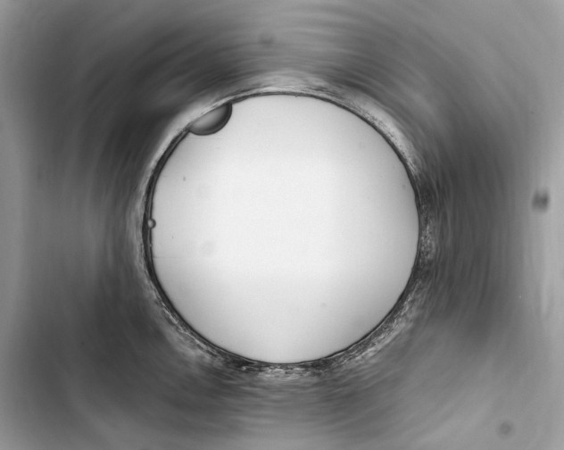 X0000103481146200810031537