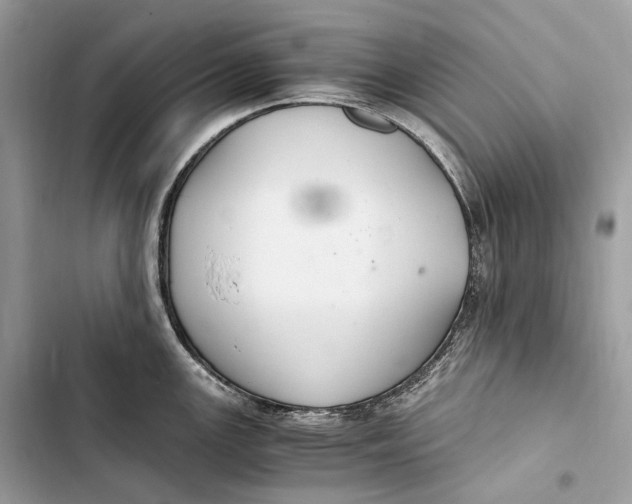 X0000103481147200810031537