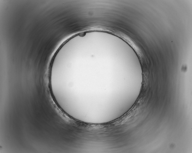 X0000103481148200810031537