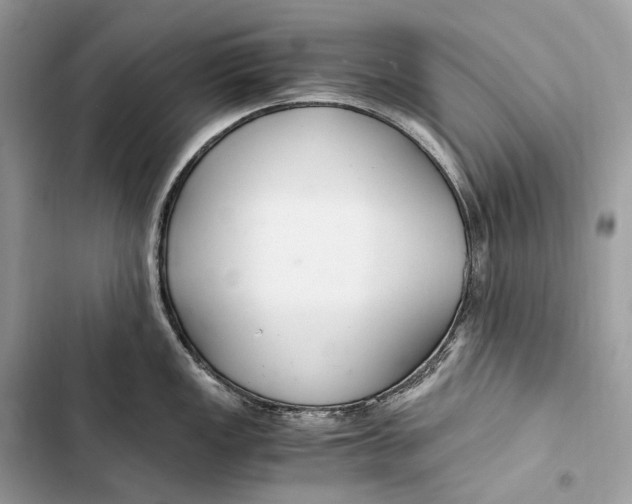 X0000103481149200810031537