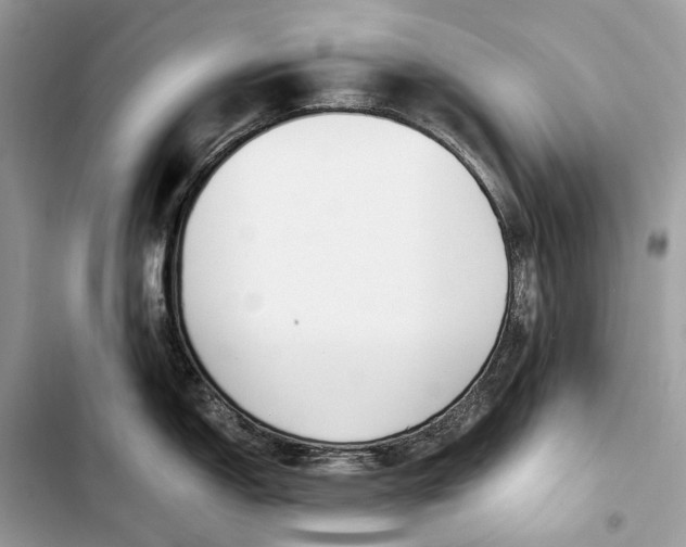 X0000103481150200810031537