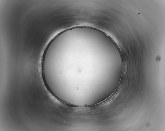 X0000103481151200810031537