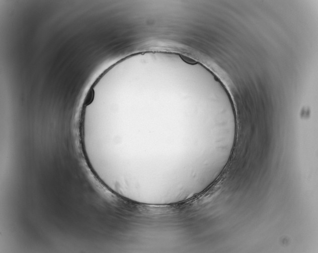 X0000103481152200810031537