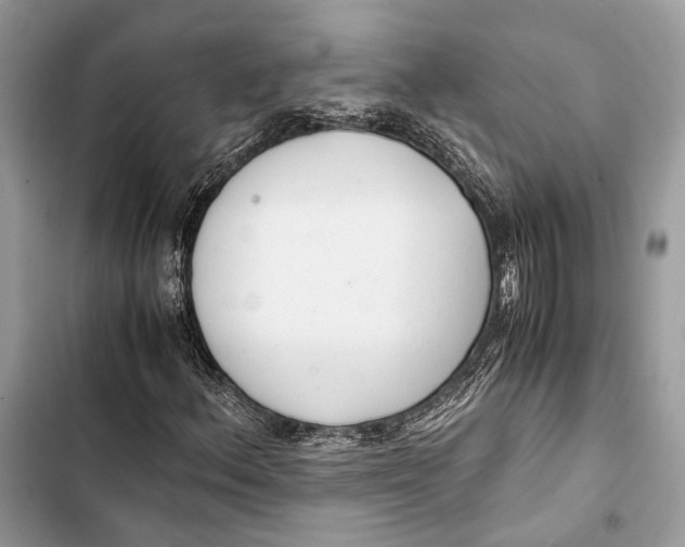 X0000103481156200810031536