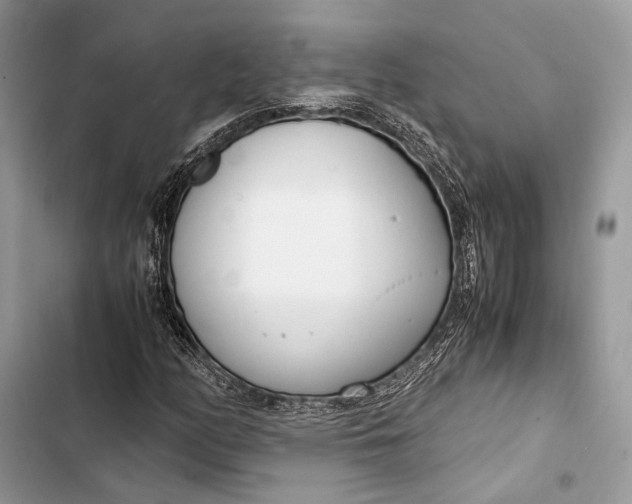 X0000103481158200810031536