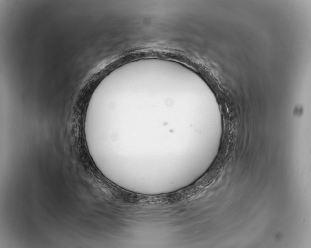 X0000103481159200810031536