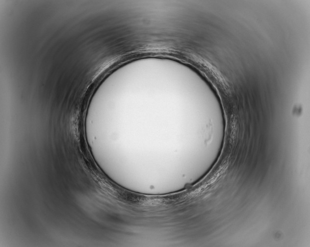 X0000103481162200810031536