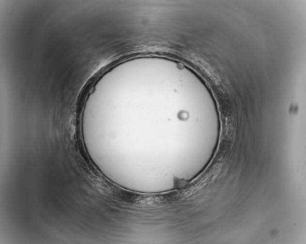 X0000103481165200810031536