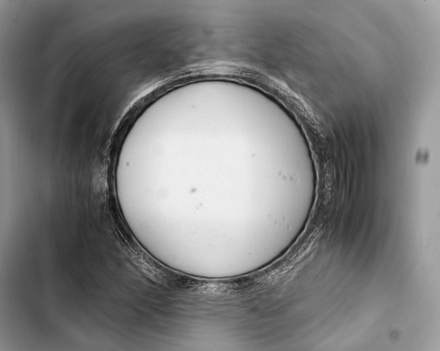 X0000103481166200810031536