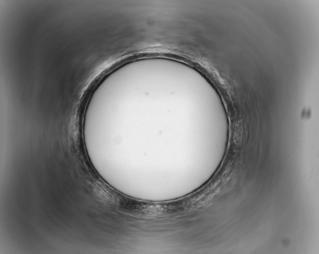 X0000103481167200810031536