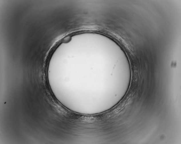 X0000103481168200810031536