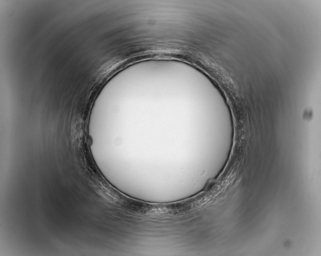 X0000103481169200810031536