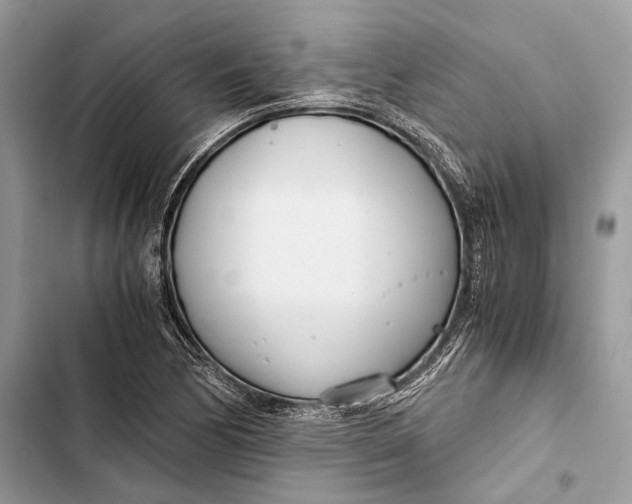 X0000103481170200810031536