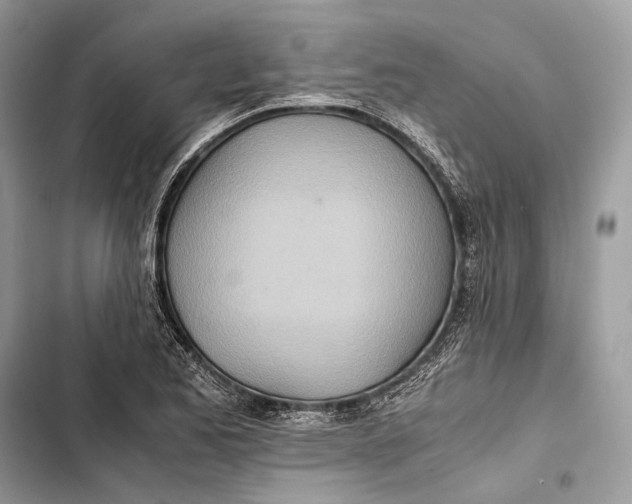 X0000103481173200810031536