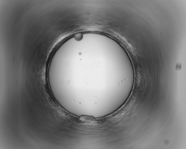 X0000103481174200810031536