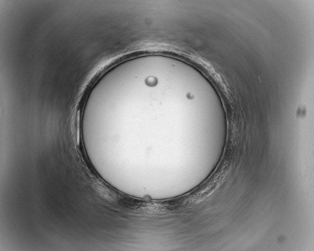 X0000103481175200810031536