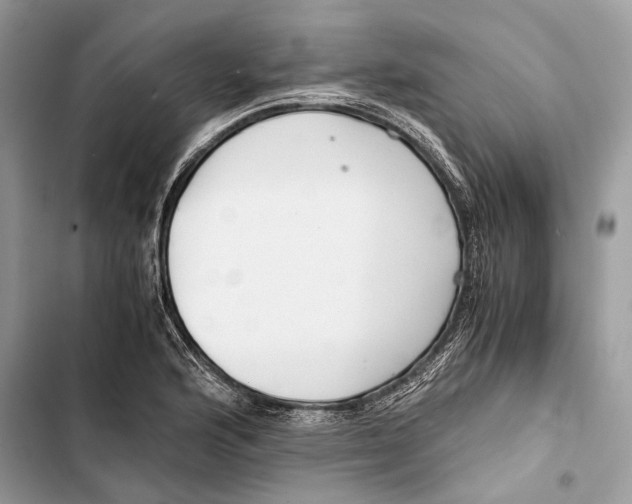 X0000103481176200810031536