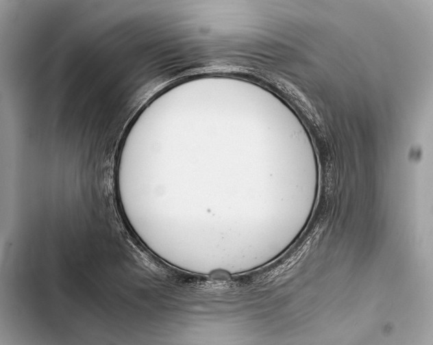 X0000103481177200810031536