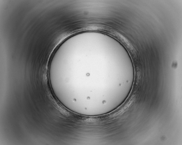 X0000103481178200810031536