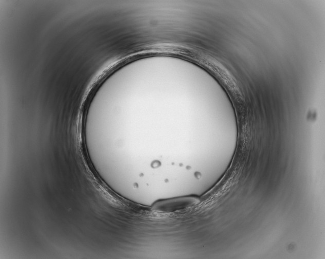 X0000103481180200810031536