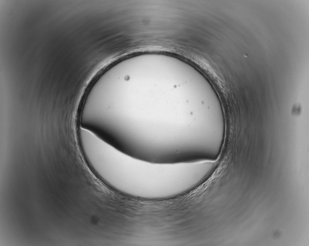 X0000103481181200810031536