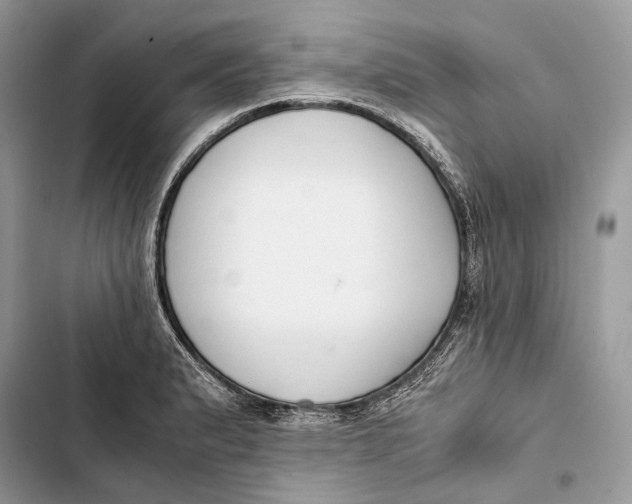 X0000103481183200810031536