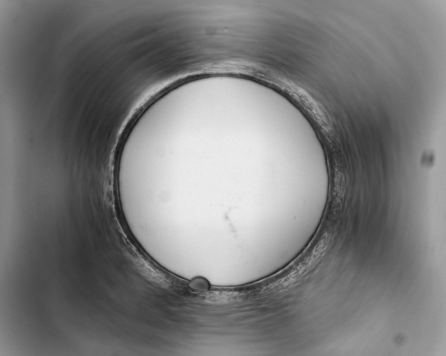 X0000103481184200810031536