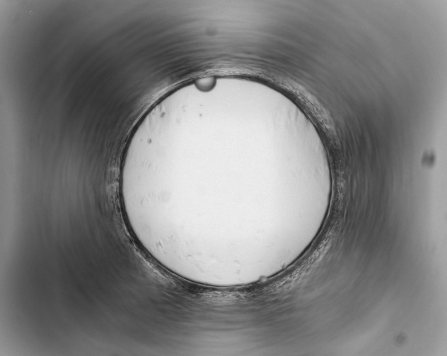 X0000103481185200810031536