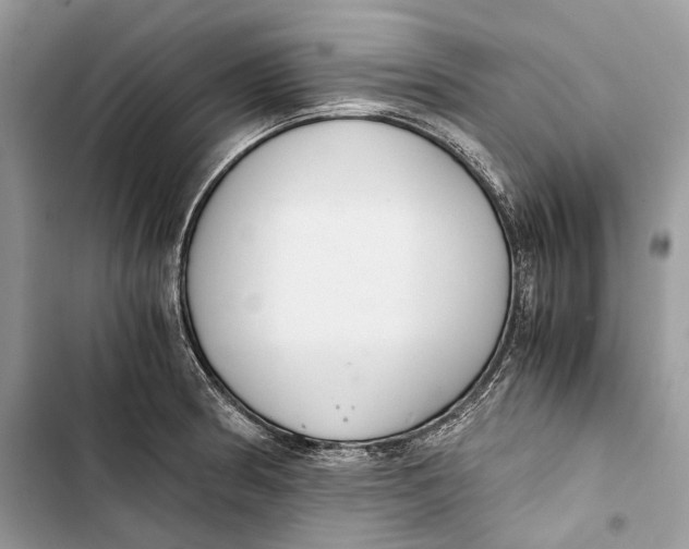 X0000103481186200810031536