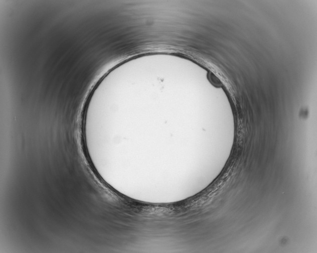 X0000103481187200810031536