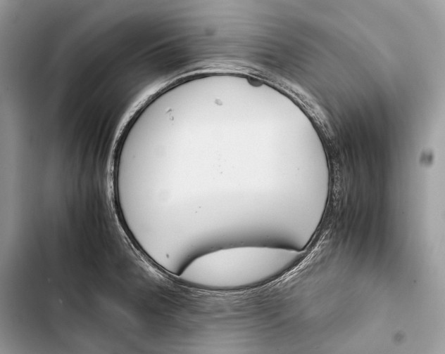 X0000103481188200810031536