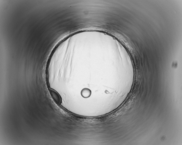 X0000103481189200810031536