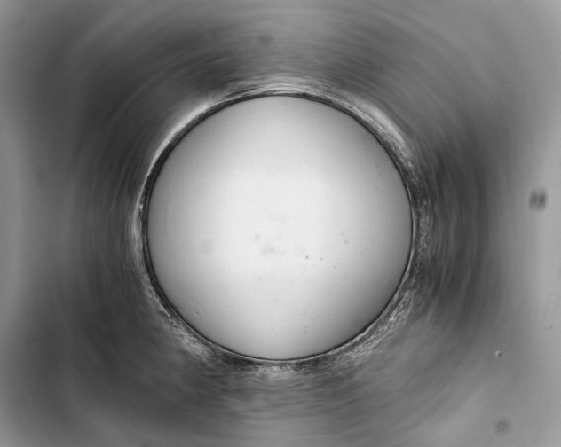 X0000103481190200810031536