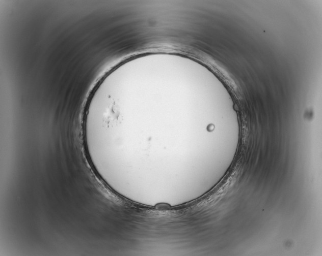 X0000103481192200810031536