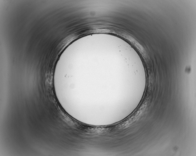 X0000103481193200810031536